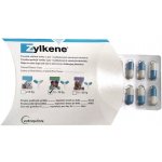 Vetoquinol Zylkene 225 mg pro střední psy od 10 kg do 30 kg 100 kapslí – Zbozi.Blesk.cz