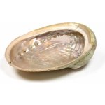 Milujeme Kameny vykuřovací mušle Abalone - maxi – Zboží Dáma