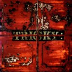 Tricky - Maxinquaye Vinyl Edition LP – Hledejceny.cz
