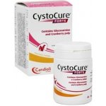 Candioli Cystocure forte 30 tbl – Hledejceny.cz