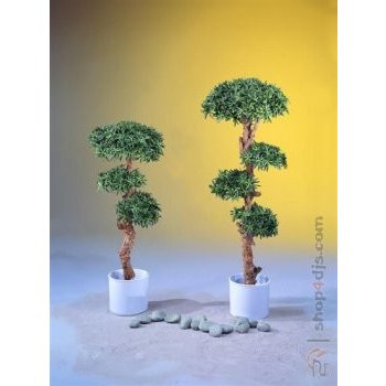 Bonsai palma s 6960 listy 180cm