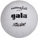 Volejbalový míč Gala Student BP 5033 S
