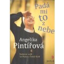Kniha Pintířová Angelika - Padá mi to z nebe