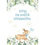 Přání k narození dítěte CTS88, Chlapeček – Zboží Dáma