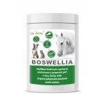 Dromy Boswellia 0,75 kg – Zboží Mobilmania