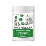 Dromy Boswellia 0,75 kg – Zboží Dáma