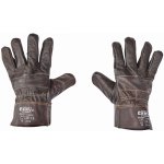 Cerva FRANCOLIN – Sleviste.cz