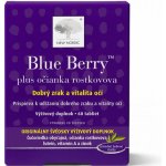 New Nordic Blue Berry 60 tablet – Hledejceny.cz