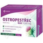 NOVENTIS Ostropestřec 3500 mg max 45+15 kapslí – Hledejceny.cz