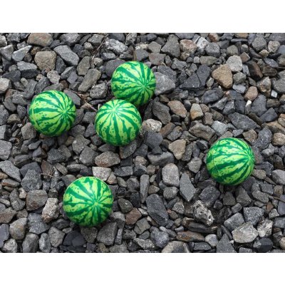 Míček hopík vodní meloun 4cm skákací balonek skákačák – Zboží Mobilmania