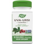 Nature's Way Uva Ursi Leaves 100 kapslí – Hledejceny.cz