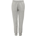 Nike W NSW PHNX FLC MR PANT STD FZ7626-063 šedá – Zboží Dáma