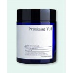Pyunkang Yul Moisture Cream hydratační krém 100 ml – Hledejceny.cz