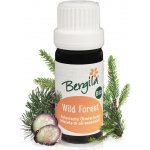 Bergila éterický olej Divoký les mix BIO 30 ml – Hledejceny.cz