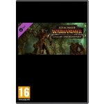 Total War: WARHAMMER - Call of the Beastmen – Hledejceny.cz