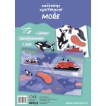 BETEXA Začínáme vystřihovat Moře – Zboží Dáma