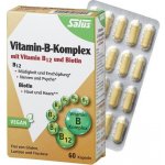Salus Vitamin B komplex Pro psychickou rovnováhu 250 ml – Hledejceny.cz