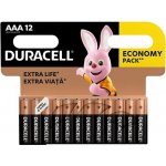 Duracell Basic 12ks AAA 42325 – Hledejceny.cz