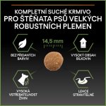 Purina Pro Plan Large Puppy Robust Healthy Start kuře 2 x 12 kg – Hledejceny.cz