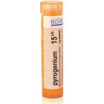PYROGENIUM POR 15CH GRA 4G – Hledejceny.cz