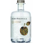 Raspenava Meruňkovice 42% 0,5 l (holá láhev) – Sleviste.cz