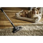 Miele Guard M1 Cat & Dog obsidián černá – Hledejceny.cz