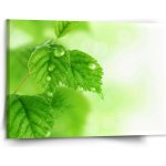 Sablio Obraz Listy 2 - 150x110 cm – Hledejceny.cz