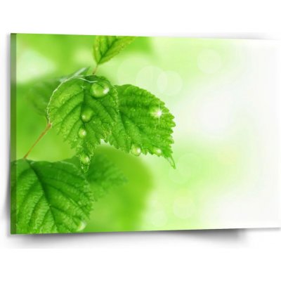 Sablio Obraz Listy 2 - 150x110 cm – Hledejceny.cz