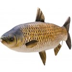 Gaby polštářek Amur 40 cm – Zboží Mobilmania