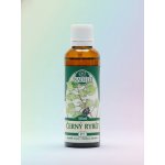 Naděje Podhorná Černý rybíz tinktura z pupenů 50 ml – Hledejceny.cz