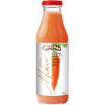 Ovocňák Mošt JABLKO MRKEV 750ml – Zboží Dáma