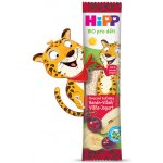 HiPP BIO Oplatka Banán-Višeň-Jogurt 23 g – Zboží Dáma