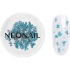 Zdobení nehtů NEONAIL Dried Flowers sušený květ na nehty odstín 05 Turquoise 1 ks