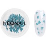 NEONAIL Dried Flowers sušený květ na nehty odstín 05 Turquoise 1 ks – Hledejceny.cz