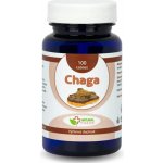 Natural Pharm Chaga 100 tablet – Hledejceny.cz