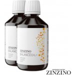Zinzino BALÍČEK 2 x Zinzino Balance olej 300 ml Pomeranč Citron Máta – Hledejceny.cz