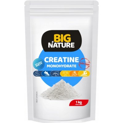 Big Nature Creatine 1000 g – Zboží Mobilmania