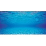 Juwel Tapeta modrá L 100 x 50 cm – Zboží Dáma