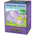 Everest Ayurveda DALCHINI Dýchací cesty 100 g – Hledejceny.cz