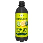 Long Life Biotea Bio Kombucha Citron a Limetka 0,5 l – Hledejceny.cz