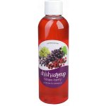 Shishasyrup Melasa zvlhčovadlo 100ml 'Hrozen a mix bobulí' – Zboží Dáma