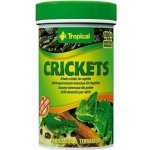 Tropical Crickets 100 ml – Zboží Dáma