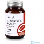 Sibyl Magnesium malát + B6 160 kapslí – Hledejceny.cz