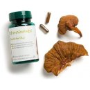 Doplněk stravy Pharmanex Reishimax GLp houba Reishi 60 kapslí