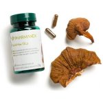 Pharmanex Reishimax GLp houba Reishi 60 kapslí – Hledejceny.cz