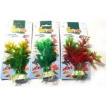 Tatrapet Hygrofila 10-12 cm červená, žlutá, zelená – Zboží Mobilmania