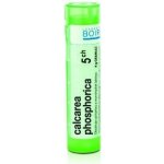 CALCAREA PHOSPHORICA POR 5CH GRA 1X4G – Hledejceny.cz