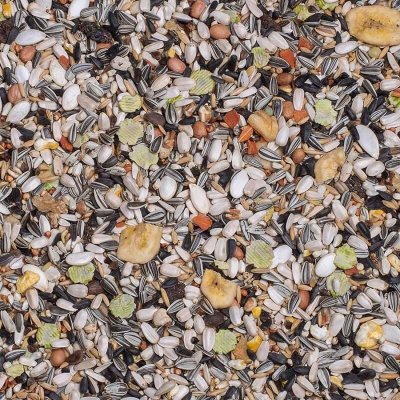 Deli Nature 24 Caatinga 3 kg – Hledejceny.cz