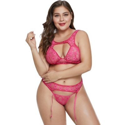 Rose Hollow-out Bust Plus Size Bralette Set – Hledejceny.cz