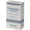 Protexin Cobalaplex 60 ks